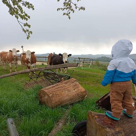 Ferienwohnung Im Muehlviertler Panorama Vierseithof Lembach im Mühlkreis 外观 照片