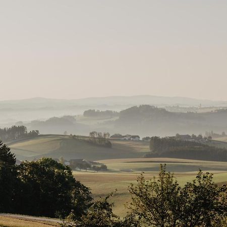 Ferienwohnung Im Muehlviertler Panorama Vierseithof Lembach im Mühlkreis 外观 照片