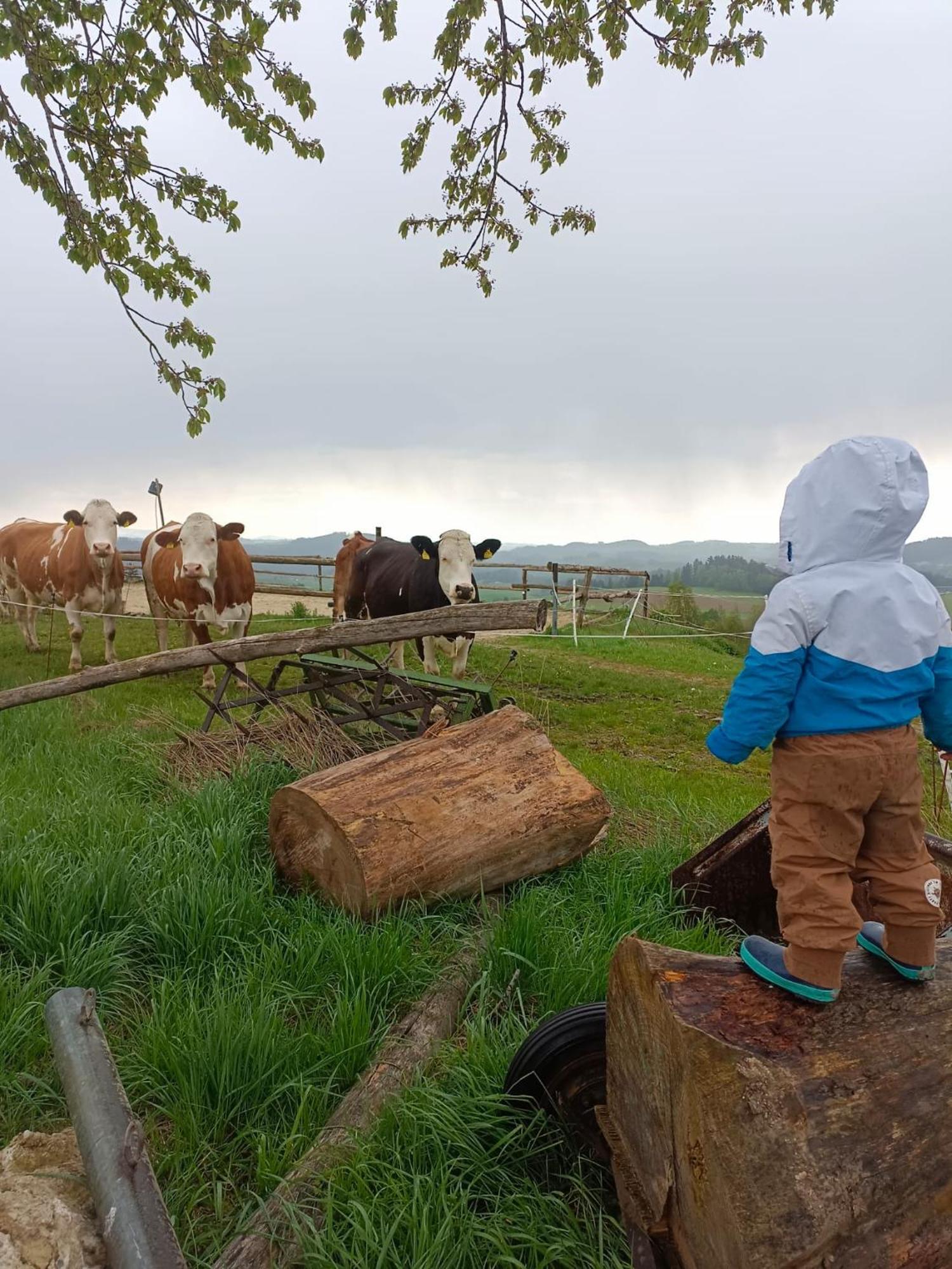 Ferienwohnung Im Muehlviertler Panorama Vierseithof Lembach im Mühlkreis 外观 照片