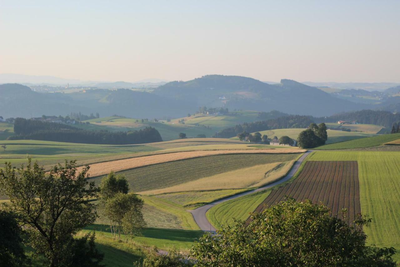 Ferienwohnung Im Muehlviertler Panorama Vierseithof Lembach im Mühlkreis 外观 照片