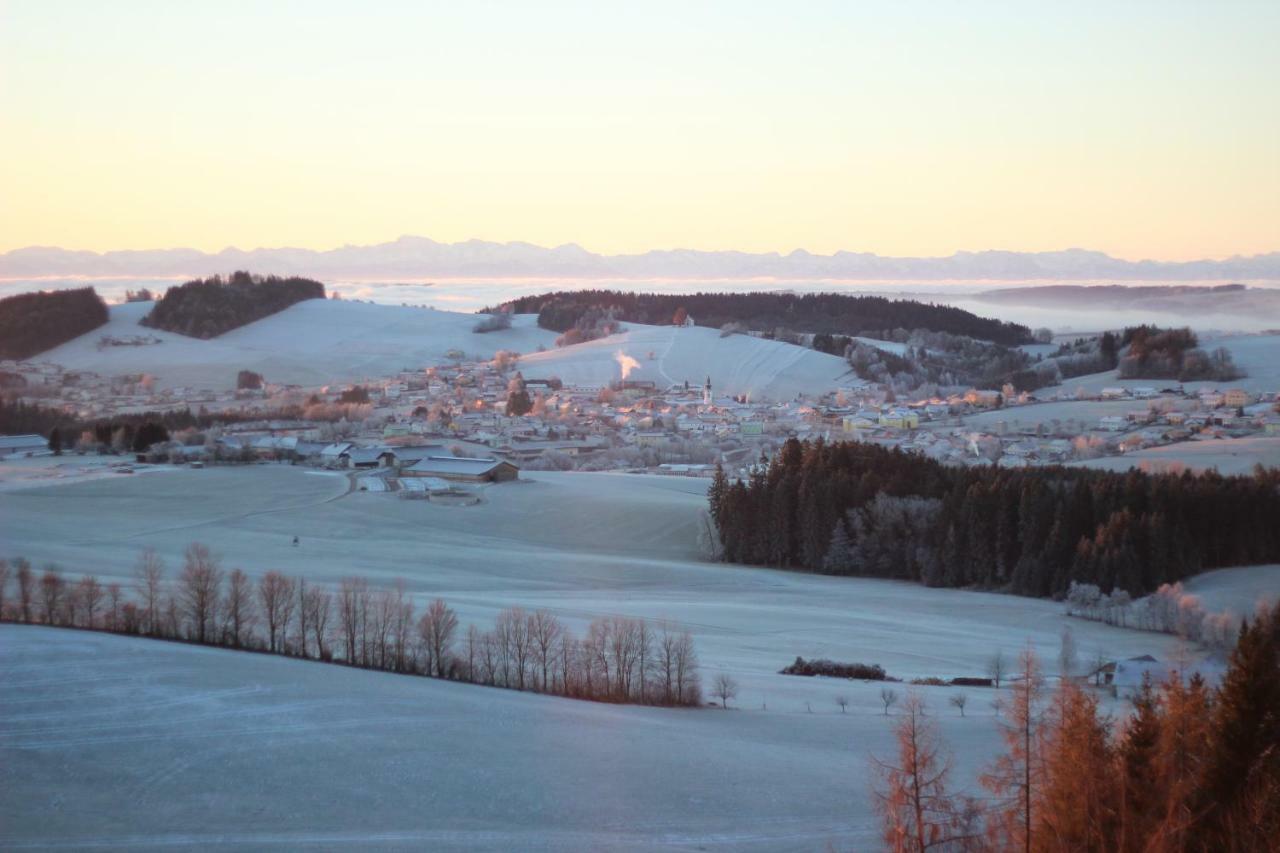 Ferienwohnung Im Muehlviertler Panorama Vierseithof Lembach im Mühlkreis 外观 照片