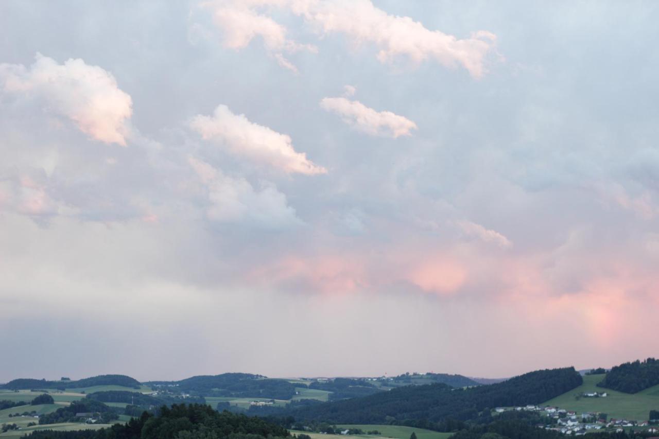 Ferienwohnung Im Muehlviertler Panorama Vierseithof Lembach im Mühlkreis 外观 照片